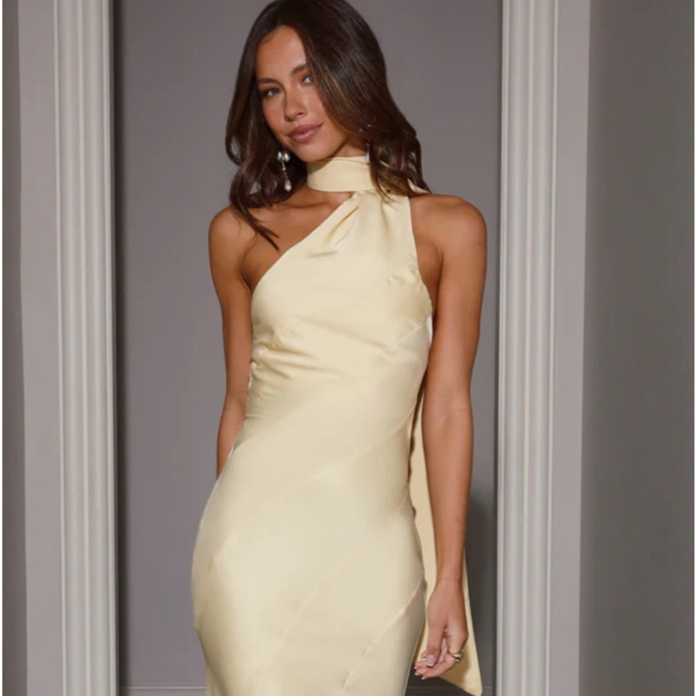 NEVER WORN Hello Molly dress